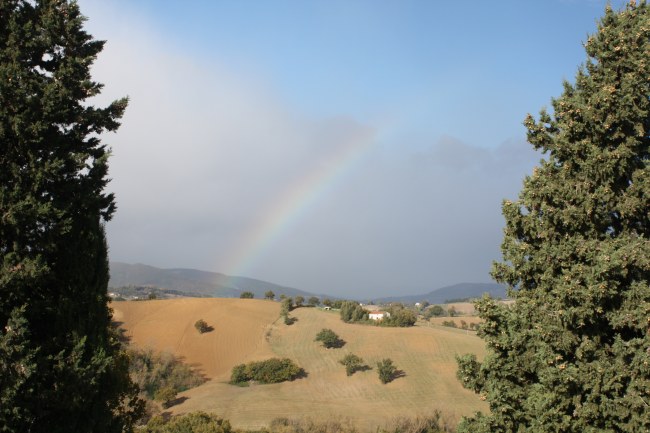 View with rainbow